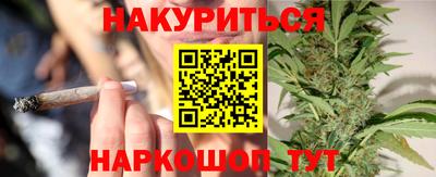 стафф Гай