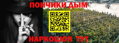 стафф Гай
