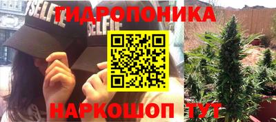 стафф Гай