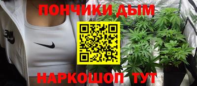 стафф Гай