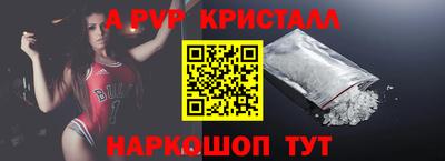 стафф Гай