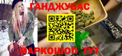 стафф Гай