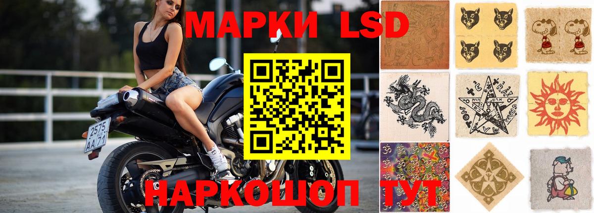 Лсд 25 экстази ecstasy  Вход с VPN  Карачаевск  ЛСД экстази ecstasy 